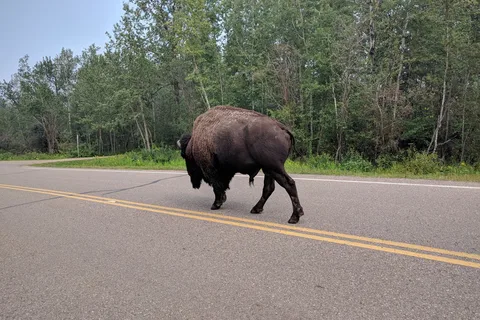 Astotin Lake Campground - Elk Island National Park
