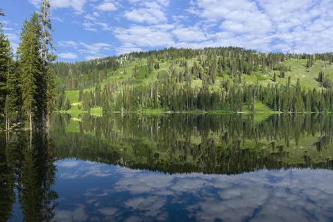 Black Bear RV Park