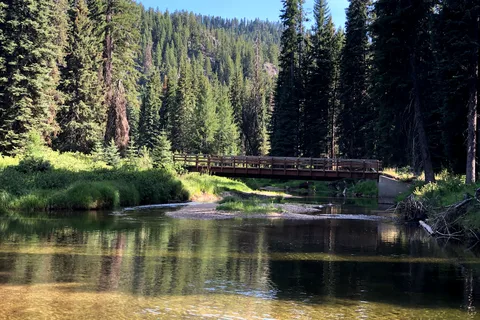 Black Bear RV Park