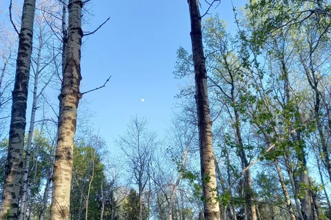 Sandy Lake - Prince Albert National Park