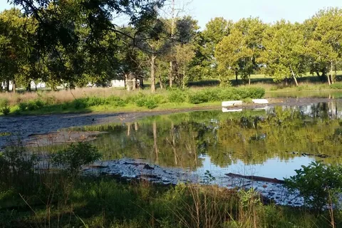 Pelican Landing Resort and Campground