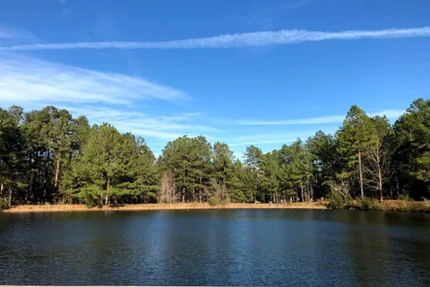 Equestrian - General Coffee State Park