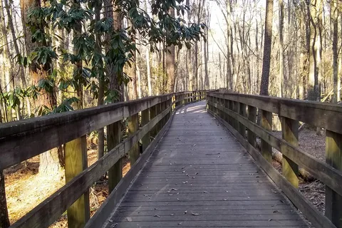 Equestrian - General Coffee State Park