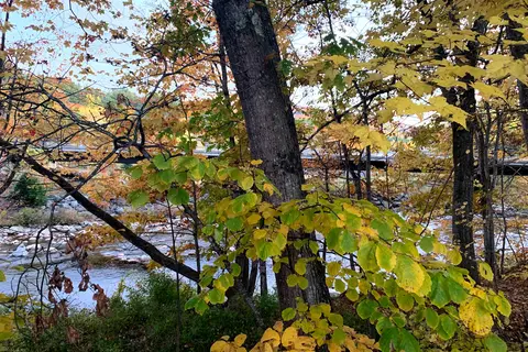 Goose Hollow Camp and RV Park
