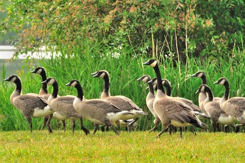 Grande Prairie Rotary Campground