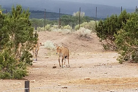 Bear Paw RV Resort
