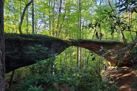 Pickett CCC Memorial State Park