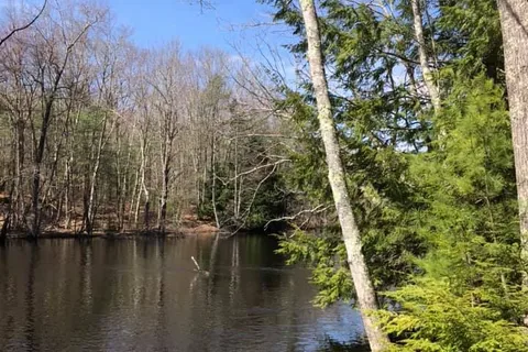 Yankeeland RV Resort