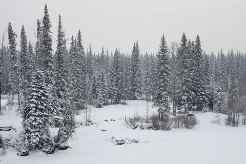 McLeod River Provincial Recreational Area