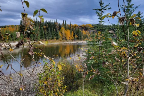 McLeod River Provincial Recreational Area