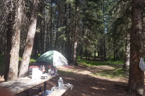 McLeod River Provincial Recreational Area