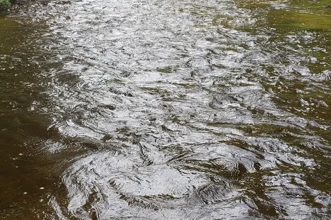 McLeod River Provincial Recreational Area