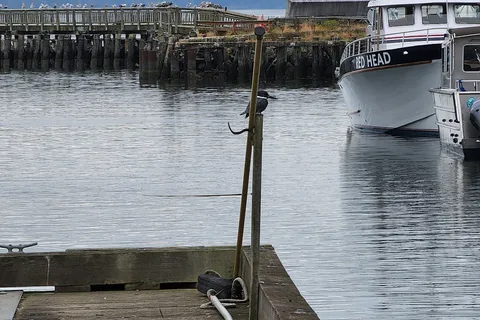 Point Hudson Resort Marina and RV Park