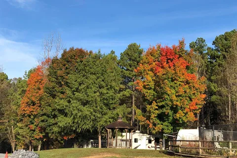 Shenandoah Valley Campground