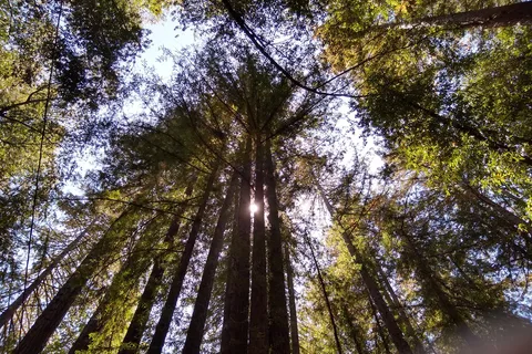 Schoolhouse Canyon Campground