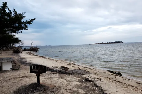 Bayside - Assateague Island National Seashore
