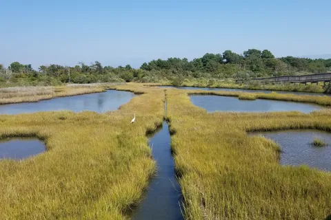 Bayside - Assateague Island National Seashore