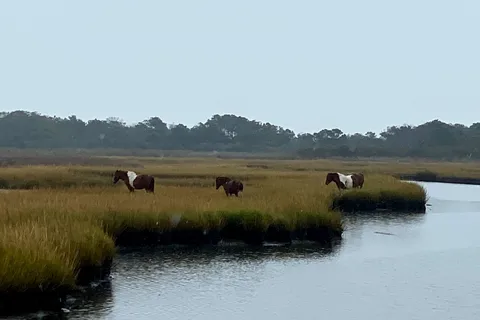 Bayside - Assateague Island National Seashore