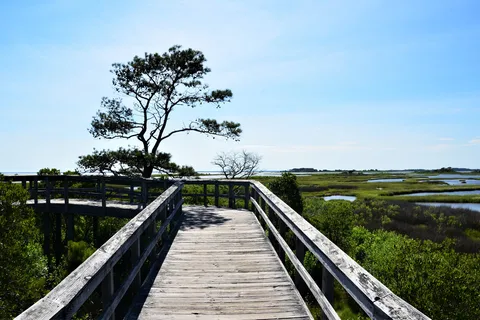 Bayside - Assateague Island National Seashore
