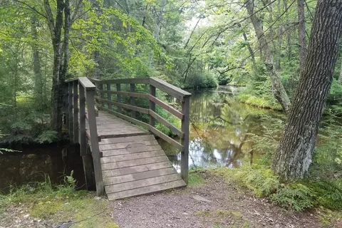 South - Brunet Island State Park
