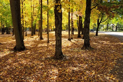South - Brunet Island State Park
