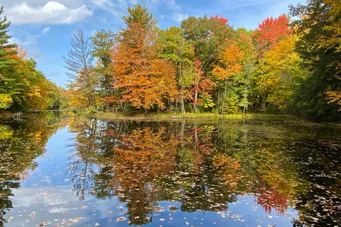 South - Brunet Island State Park