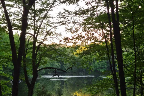 South - Brunet Island State Park