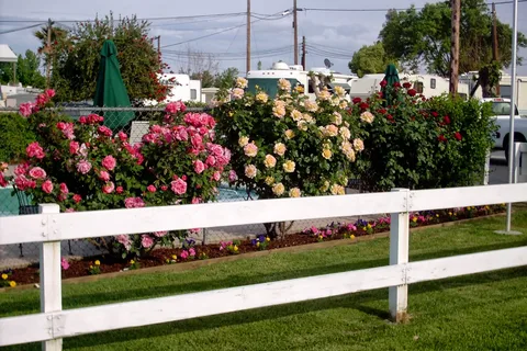 Fresno Mobile Home and RV Park