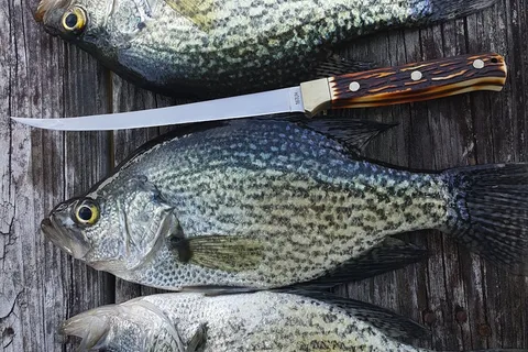 Big Cypress Lake RV Park and Fishing Retreat