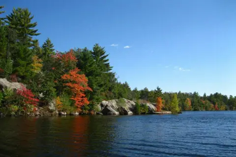 Thornton's Rafting Resort and Campground