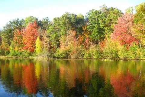 Thornton's Rafting Resort and Campground