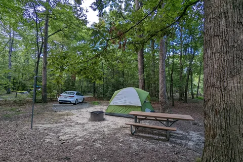 Oak Ridge Campground - Prince William Forest Park