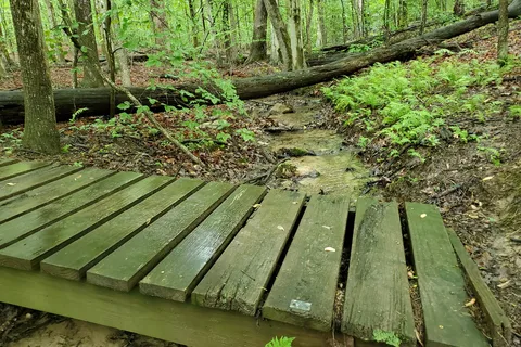 Oak Ridge Campground - Prince William Forest Park