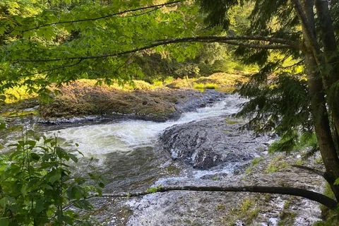 Rainbow Falls State Park