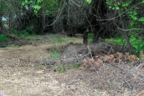 Circle H RV Ranch