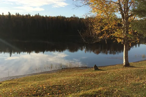 Happy Holiday Campground And Cottages