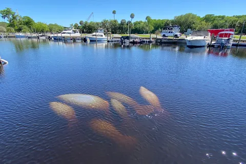 St Johns Marina Resort