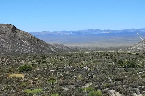 Picketts RV Park