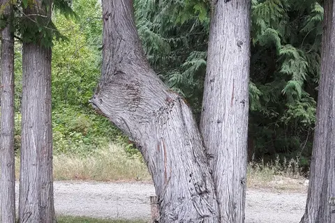 Crawford Bay RV Park