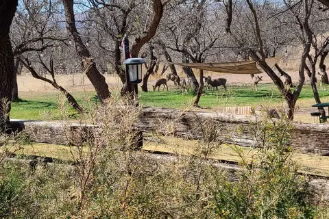 Mesquite Ranch Campground