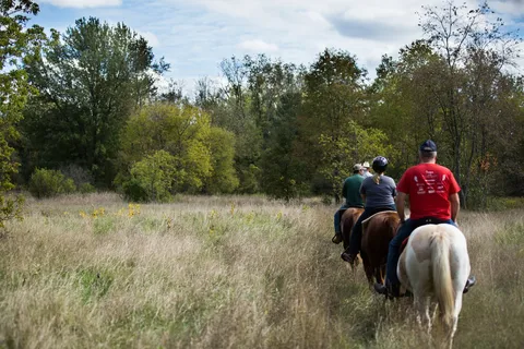 Elba Equestrian Complex