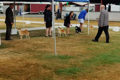 Enumclaw Expo Center RV Campground