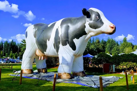 Enumclaw Expo Center RV Campground
