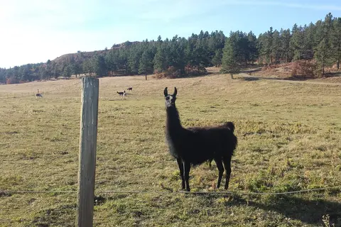 Spanish Peaks State Wildlife Area