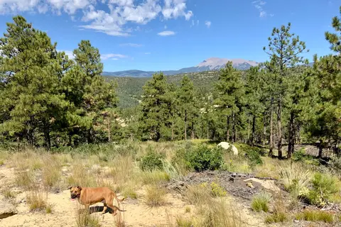 Spanish Peaks State Wildlife Area