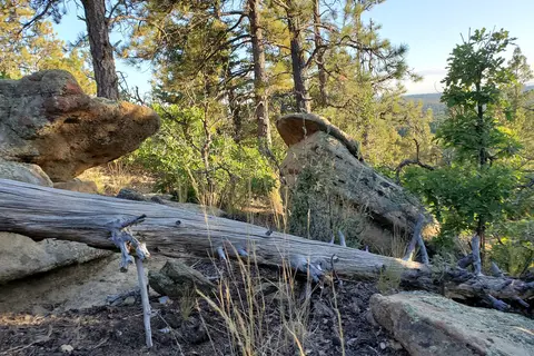 Spanish Peaks State Wildlife Area