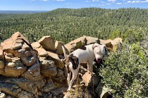 Spanish Peaks State Wildlife Area