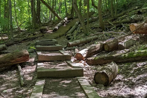 Mt Philo State Park