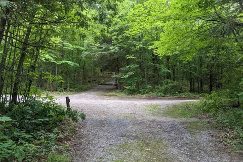 Mt Philo State Park
