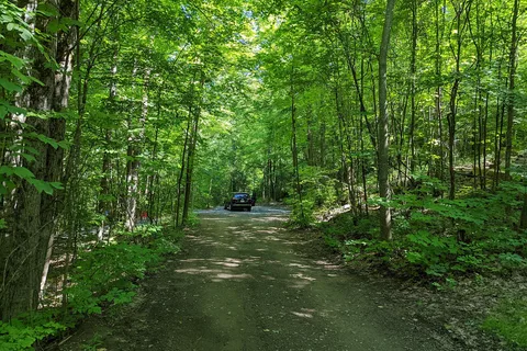Mt Philo State Park